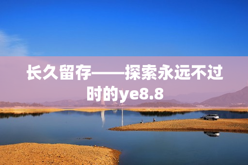 长久留存——探索永远不过时的ye8.8