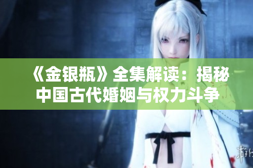 《金银瓶》全集解读：揭秘中国古代婚姻与权力斗争