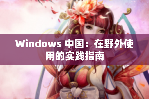 Windows 中国：在野外使用的实践指南