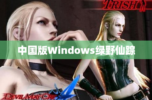 中国版Windows绿野仙踪
