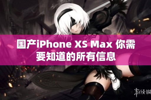 国产iPhone XS Max 你需要知道的所有信息