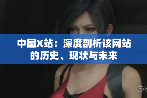 中国X站：深度剖析该网站的历史、现状与未来