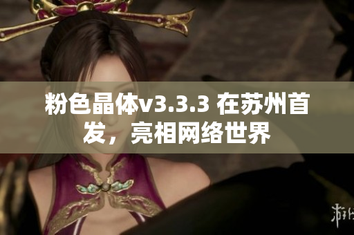 粉色晶体v3.3.3 在苏州首发，亮相网络世界