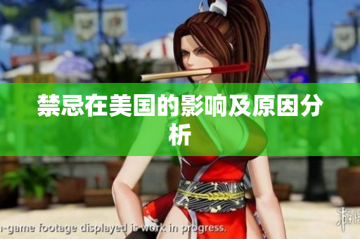 禁忌在美国的影响及原因分析