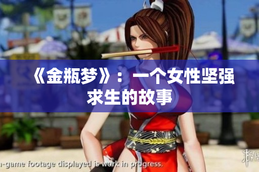 《金瓶梦》：一个女性坚强求生的故事