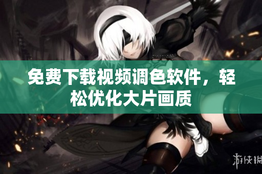 免费下载视频调色软件，轻松优化大片画质