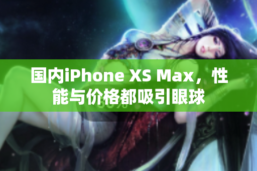 国内iPhone XS Max，性能与价格都吸引眼球