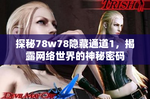 探秘78w78隐藏通道1，揭露网络世界的神秘密码