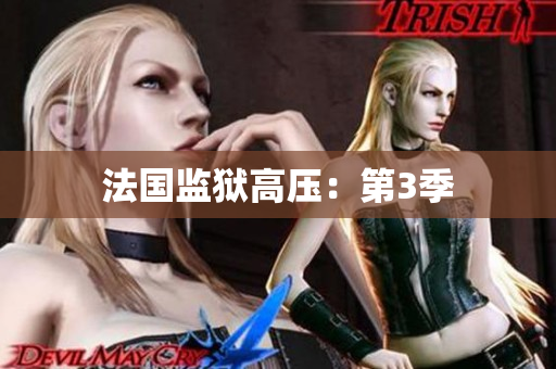 法国监狱高压：第3季