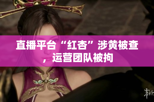 直播平台“红杏”涉黄被查，运营团队被拘