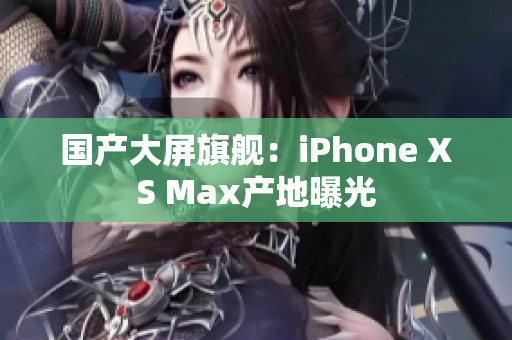 国产大屏旗舰：iPhone XS Max产地曝光