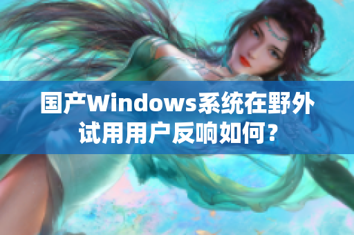 国产Windows系统在野外试用用户反响如何？
