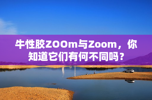 牛性胶ZOOm与Zoom，你知道它们有何不同吗？