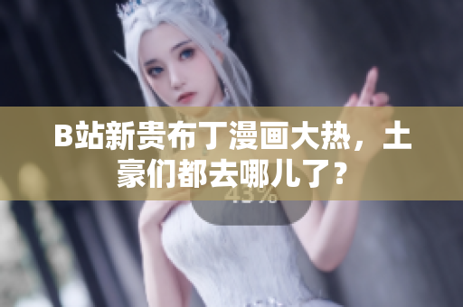 B站新贵布丁漫画大热，土豪们都去哪儿了？