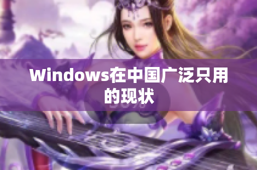 Windows在中国广泛只用的现状