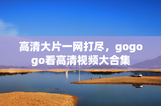 高清大片一网打尽，gogogo看高清视频大合集
