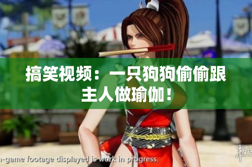 搞笑视频：一只狗狗偷偷跟主人做瑜伽！