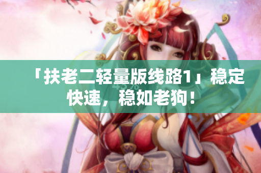 「扶老二轻量版线路1」稳定快速，稳如老狗！