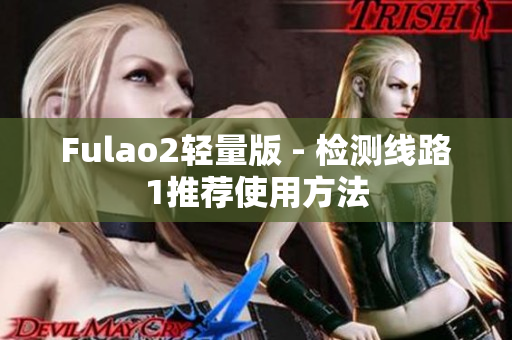 Fulao2轻量版 - 检测线路1推荐使用方法