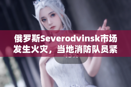 俄罗斯Severodvinsk市场发生火灾，当地消防队员紧急处置