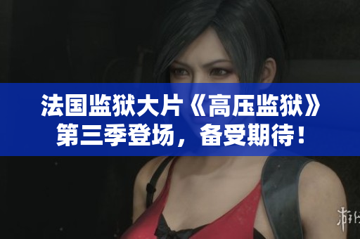 法国监狱大片《高压监狱》第三季登场，备受期待！