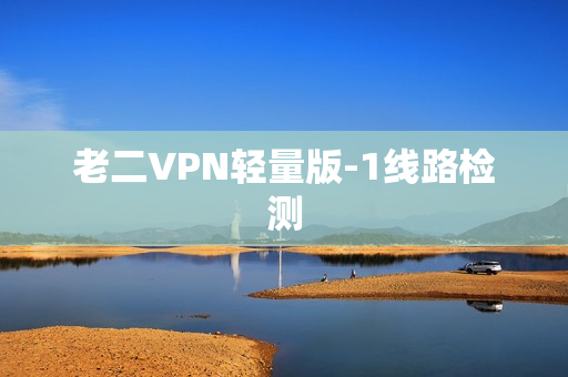 老二VPN轻量版-1线路检测