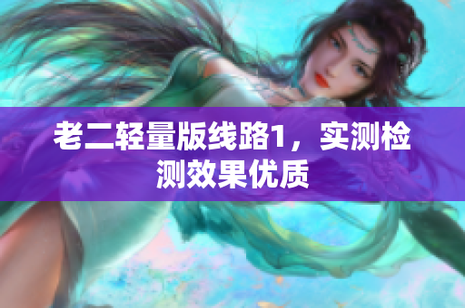老二轻量版线路1，实测检测效果优质