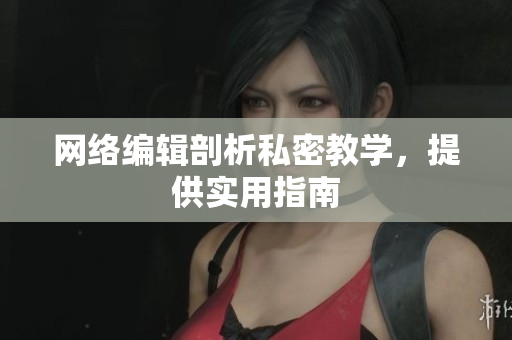 网络编辑剖析私密教学，提供实用指南