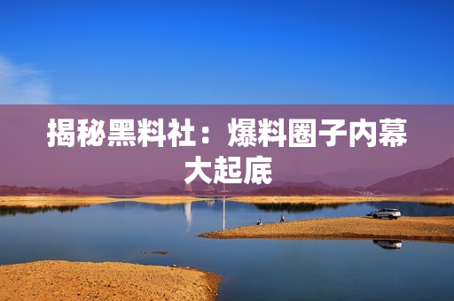 揭秘黑料社：爆料圈子内幕大起底