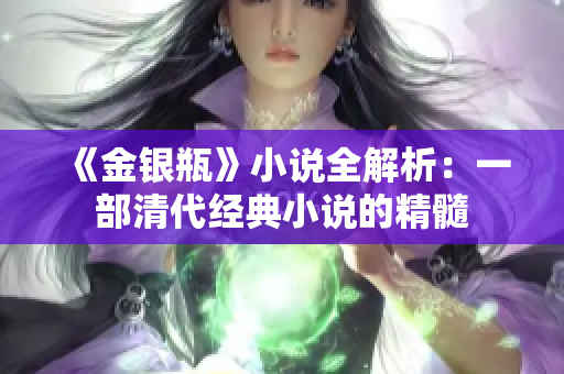 《金银瓶》小说全解析：一部清代经典小说的精髓