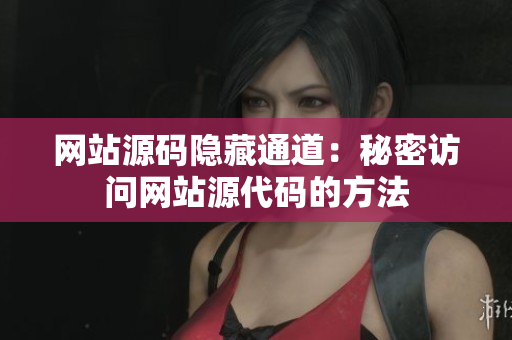 网站源码隐藏通道：秘密访问网站源代码的方法