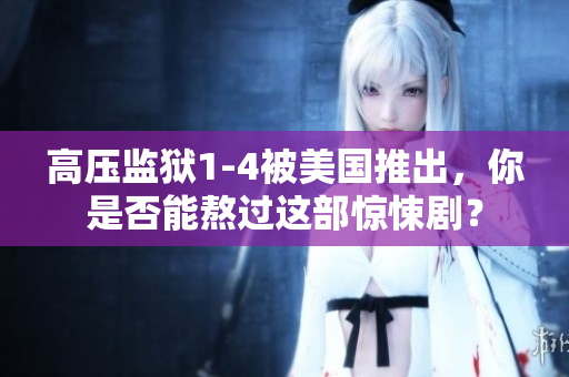 高压监狱1-4被美国推出，你是否能熬过这部惊悚剧？