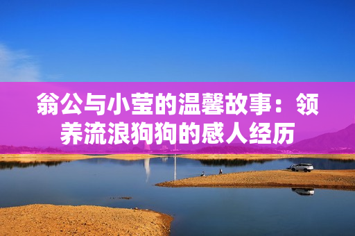 翁公与小莹的温馨故事：领养流浪狗狗的感人经历