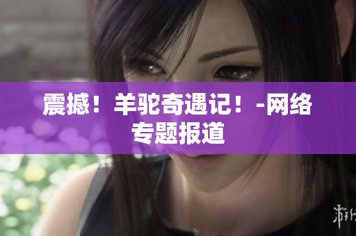 震撼！羊驼奇遇记！-网络专题报道