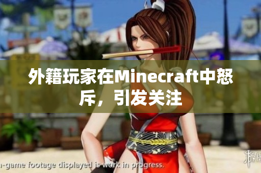 外籍玩家在Minecraft中怒斥，引发关注