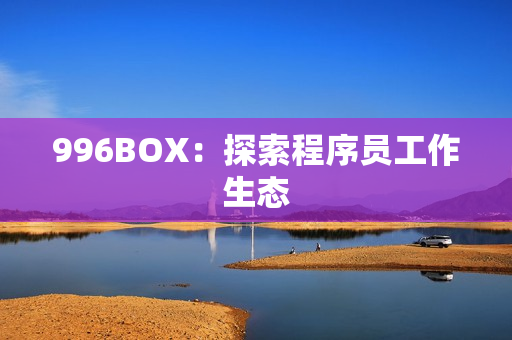 996BOX：探索程序员工作生态