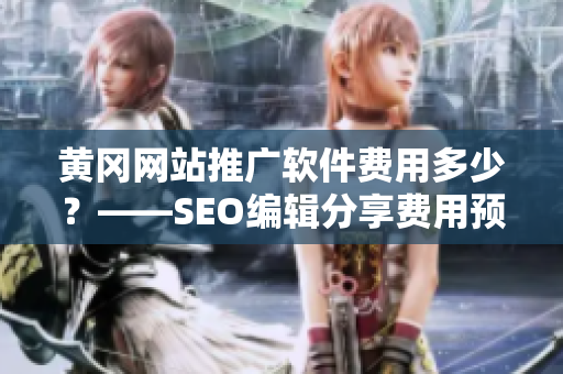 黄冈网站推广软件费用多少？——SEO编辑分享费用预估
