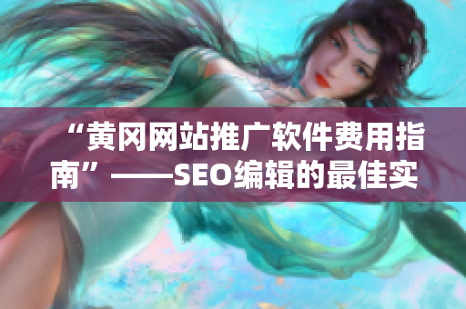 “黄冈网站推广软件费用指南”——SEO编辑的最佳实践