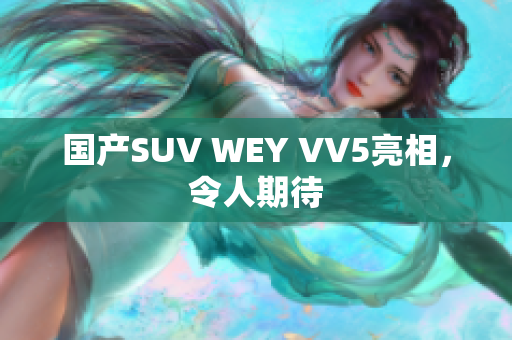 国产SUV WEY VV5亮相，令人期待