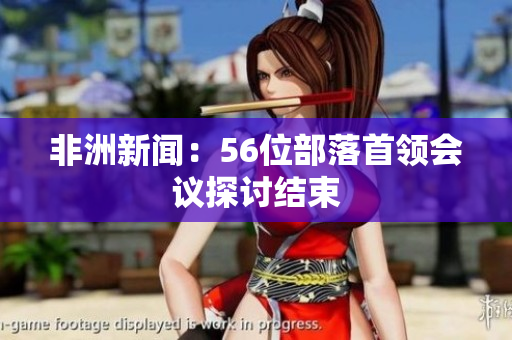 非洲新闻：56位部落首领会议探讨结束