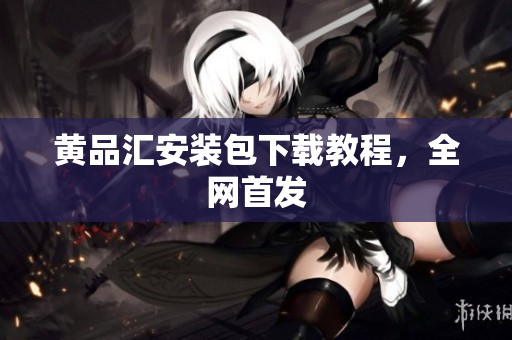 黄品汇安装包下载教程，全网首发